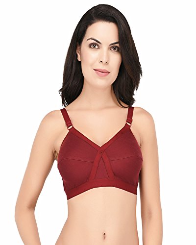 Image of Elina Women's Full Coverage Horsery D-Cup Bra.(Set of 1)