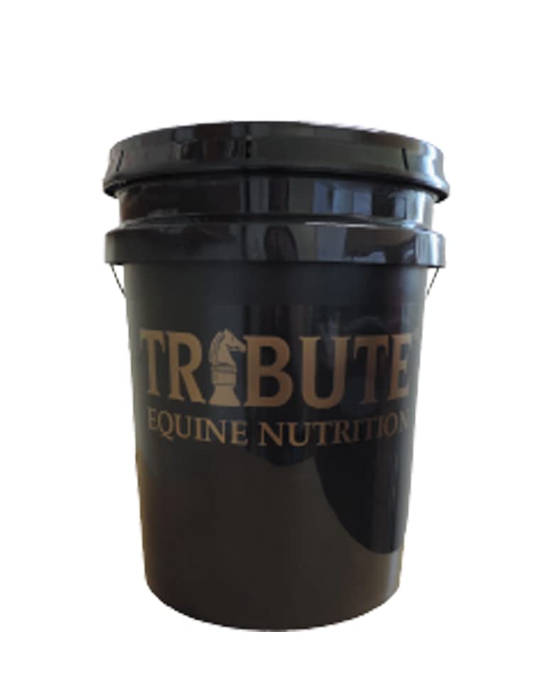 Top 10 Best Blackstrap Molasses Brand in US 2023 [ Buying Guide