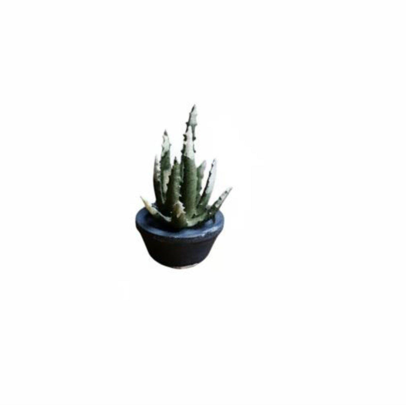 MERISHOPP®1:64 Scale Plant Models 3D Printed Resin Plant Display