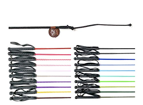 JA Horse Reitgerte Kinderreitgerte Dressurgerte Gerte mit...