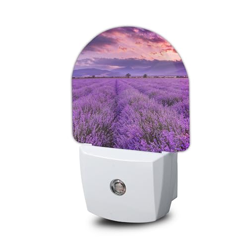 Image of Night Light,Lavender Field Sunset Night Lights Plug Into Wall Bedroom Bathroom Kitchen Hallway Stairs Hallway, Energy Efficient Decor Desk Lamp Gifts