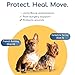 Fico Dog Front Leg Brace for Wrist Support, Carpal Brace for Dog & Cats, Vet Approved Dog Leg Sleeve with Removable Splints, Orthopedic Support for Arthritis, Injury & Post-Surgery Recovery Wrap (M)