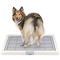 Amazon | INULABO(イヌラボ) 犬 トイレ トレー 高床式 大型犬 中型犬