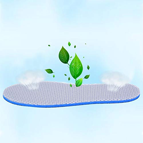 Plantillas de esponja transpirables para zapatos 45-46 miniatura 6