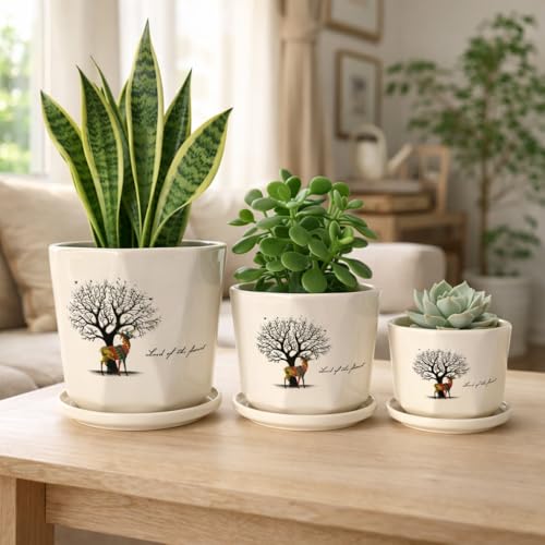 Image of Xtore Graceful Tree Motif Ceramic Planter Pots Set of 3 with Drainage Tray | Decorative Indoor Plant Holders for Living Room, Balcony & Office Desk Styling (Cream, 16.7 /14 /11 cm)