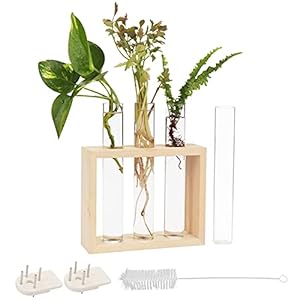 Belle Vous Muur Hang Glazen Testbuis Planten Vaas – 4 Bloemen Buisjes (1 Reserve) met Houten Standaard – Tafeltop…