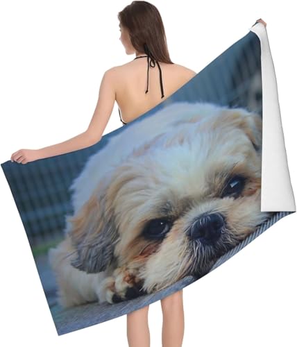 oX^I G V[EY[  Aj ^I z }CNt@Co[ Gǂ LN^[   RۖhL rbO ƒp Ɩp lC v[g