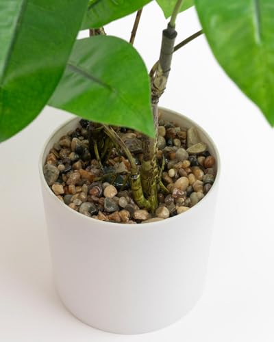 WillingYou パキラ フェイクグリーン 35cm