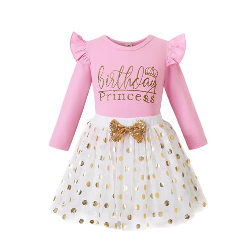 LYSMuch Toddler Baby Girls Birthday Outfits Princess Long Sleeve Shirt Mesh Tutu Skirt Set