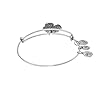 Alex and Ani A17EB28RS Four Leaf Clover IV Rafaelian Silver Bangle Bracelet