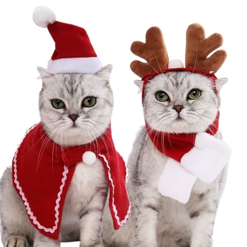 LKCCTK ybg NX}X L  Xq }t[ }g J`[V 4_Zbg   g h RXv T^ p[eB[ 菬 Be 