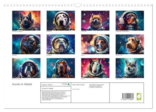 Hunde im Weltall (Wandkalender 2026 DIN A3 quer), CALVENDO Monatskalender: Hunde im All: Eine kosmische Reise der Niedlichkeit. (CALVENDO Wissenschaft)