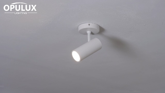 Image of 12W LED Dimmable Ceiling Spotlight Indoor - Adjustable Surface Accent Lamp for Corridor, Living Room, Warm White 3000K, CRI 97 Anti-Glare Picture Artwork Spot Light, White Finish, 2 Packs