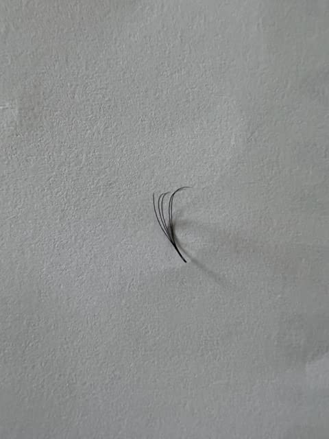 5D eyelashes premade fans (9mm)