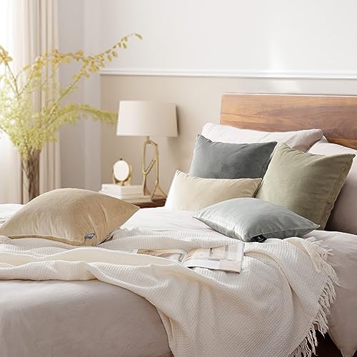 Phantoscope Pack of 2 Velvet Decorative Throw Decorative Pillow Cover Soft Solid Square Cushion Case for Couch Mist Grey 12 x 20 inches 30 x 50 cm