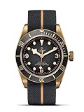 Tudor Divers ブラックベイ ブロンズグレーダイヤル M79250BA-0002, ブロンズ