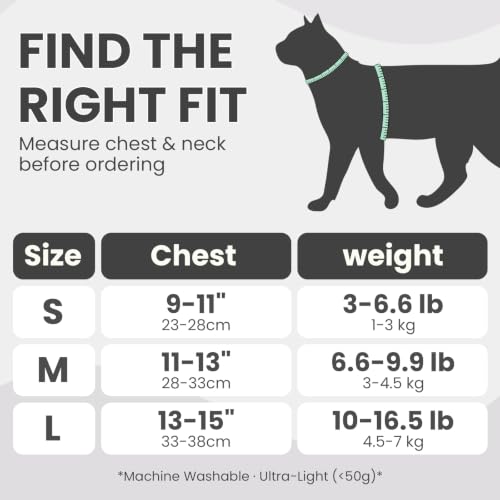 Image of HEYWEAN Cat Harness and Leash - Ultra Light Escape Proof Kitten Collar Cat Walking Jacket with Running Cushioning Soft and Comfortable Suitable for Puppies Rabbits