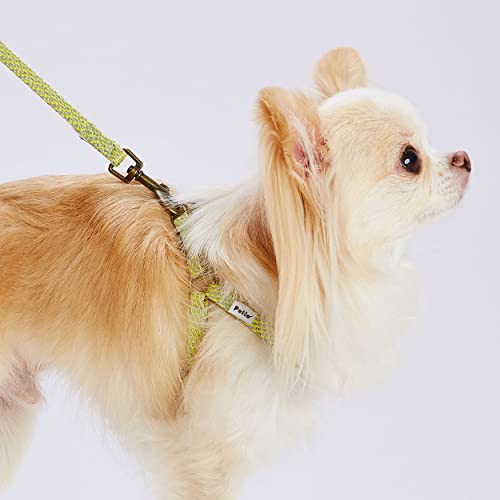 ペティオ犬用引き紐 フラッシュソフトリード SS イエロー