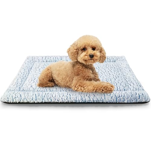 Aspand Cuscino per Cani Corto in Peluche, per Cani Taglia Grandi e Medi Materassino Cane, 63x48cm, Caldo e Comodo, Facile da Pulire, Blu