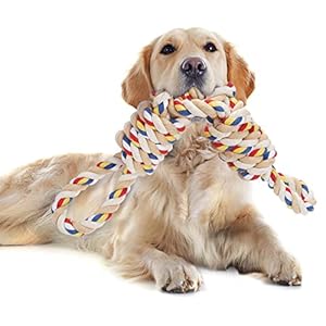 Hundespielzeug Seil für Starke große Hunde, Zerrspielzeug Hund Robuste Kauspielzeug 2 Knoten Tau für Aggressive Kauen, 60 cm Hundeseile interaktive Kauen Spielzeug für mittlere und große Hunde