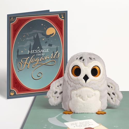 Image of Lovepop Everyday Harry Potter Hedwig Plushpop Soft Animal Pop-Up Card for Her and Him - 3D Holidays Greeting Cards for Boys, Girls, Men, Women - Message from Hogwarts - 6 inch x 8 inch Card