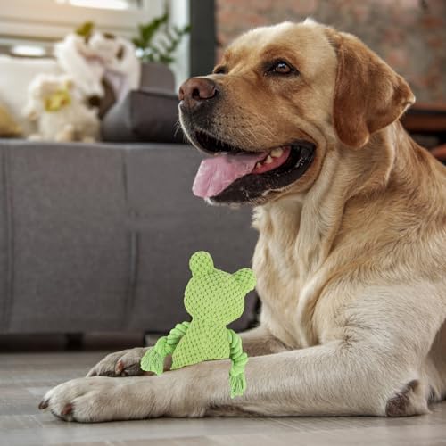 AKONE Hundespielzeug: Kauspielzeug, Quietschend, Interaktives Plüschspielzeug für Kleine und Mittlere Hunde - Froschform Kauseilspielzeug