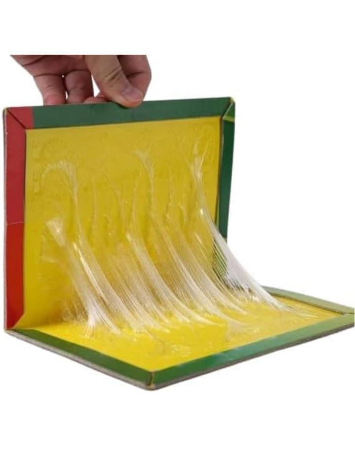 Sponsored Ad - DE heuse Sticky Insect Trap (Yellow, 6.5 x 8 Inch, Large Size) - Pack of 5 Design May Different (New Desion)