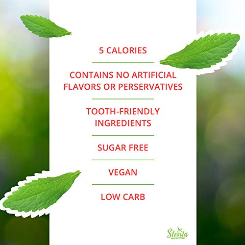 Stevita Stevia Dent Sugar-Free Gum - Natural Wintergreen Flavor (12 Pack) - 12 pieces - Supports Oral Health - Non GMO, Vegan, Keto, Gluten Free - 144 Servings