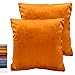 Pack de 2 Fundas Cojines Sofá Cuadrados, Funda Cojín de Terciopelo para Cama, Fundas de Cojines Decorativas Grandes (50 x 50 cm, Naranja)