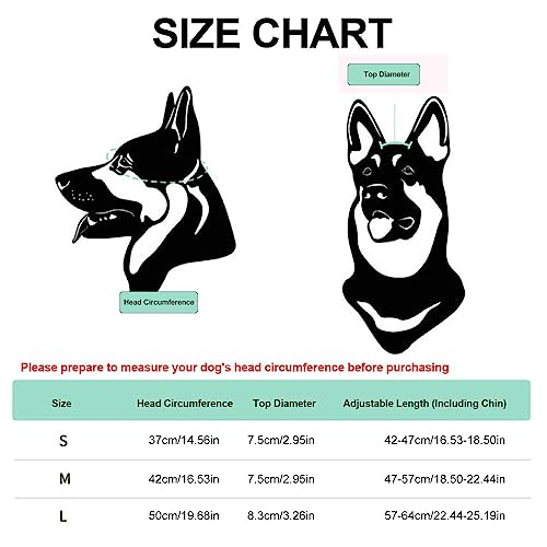 Hunde Sonnenbrille und Helm | 2 Stück Haustier Helm mit Hundebrille | Verstellbare Motorradhelme mit Weichschaum | Hundebrillen Hundehelm Set Haustierzubehör für Hunde, Kopf- und Augenschutz