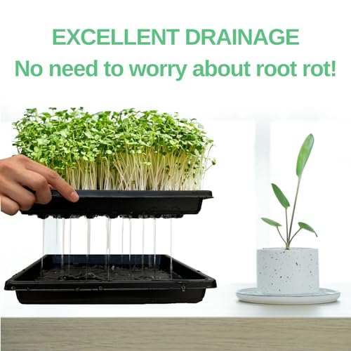 ILITING Plant Growing Trays for Seedlings Microgreen Seed Starter Shallow Plants Tray Drip Tray Standard 1010 Tray no Holes 5 Pack Black 10.7 x 10.7 inches Square Trays - Image 7