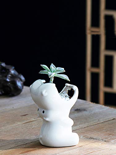 WISH HALLY WOOD White Hippo White Ceramic Plant Flower Pots Home Office Decor Planter (White Hippo)