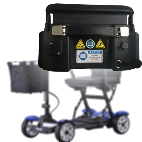 Patinete Eléctrico De 4 Ruedas Para Personas Mayores Con Discapacidad (Batería De Litio) 20ah