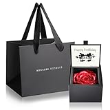 アモローサ モデルノ AMOROSA MODERNO プリザーブドフラワー ダイヤモンドローズボックス85 ディズニー Happy Birthday ショッパー付き ブライトレッド バラ ギフト 花 誕生日 結婚 記念日 プロポーズ ドライフラワー プレゼント 女性 DS85BIR-S ホワイトデー お返し