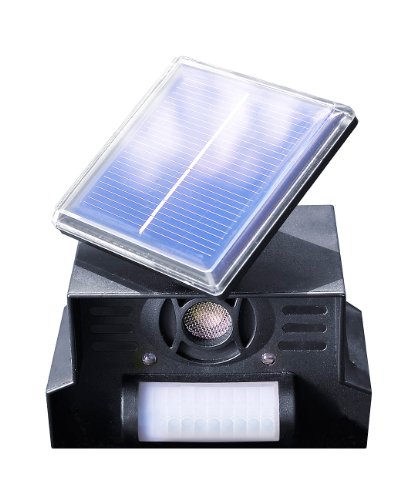 Preisvergleich Produktbild Royal Gardineer Hunde-, Katzen- und Vogelschreck TS-707.l, Solar