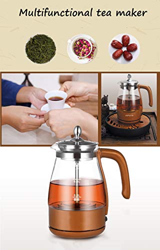 Hervidor eléctrico de vidrio 1 L con infusor para té miniatura 6