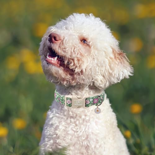 Image of St. Patrick's Day Dog Collar, UP URARA PUP Shamrock Adjustable Pet Collar with Quick Release, St. Patrick's Day Dog Accessories for Small Medium Large Dogs