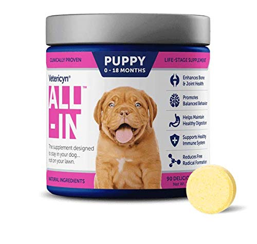Vetericyn All-in Dog Supplement. Naturally Safe Daily Supplement with Optimal Absorption Technology. Bone