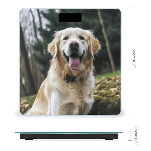 Báscula digital de baño con pantalla LCD y vidrio templado miniatura 2