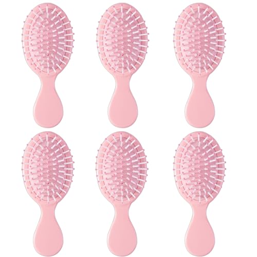 6 pcs Mini Hair Brush,Travel Detangling Brush with Exquisite Packaging Box,Mini Brush for Most Hair Types,Bridesmaid Party Christmas Stockings Filling Wet Hair Brushes (Pink)