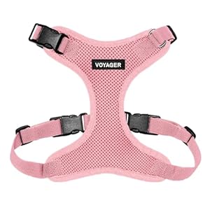Voyager Step-in Lock Pet Harness – All Weather Mesh, Adjustable Step in Harness for Cats and Dogs by Best Pet Supplies – Pink, S