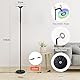 Yicenscoltd RGBCW LED Stehlampe, 16 Millionen Farben, 3 Farbtemperaturen, Dimmbar, Über 300 Szenenmodi, Mit Fernbedienung & App-Steuerung, Musik-Sync, Ideal Für Wohnzimmer, Schlafzimmer, Büro, Partys