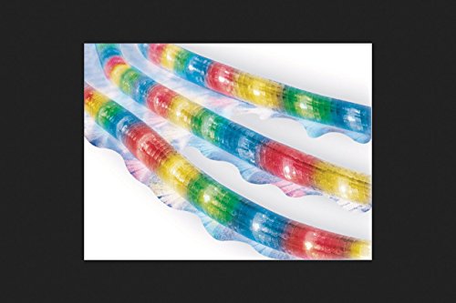 Celebrations Indoor/Outdoor Incandescent Rope Light, 18 Feet, 216 Multi-Color Lights
