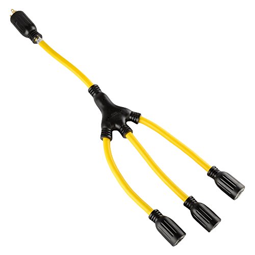 ATE Pro. USA 70074 American Tool Exchange Twist-to-Lock, 2', 12 Gauge, 20 Amp