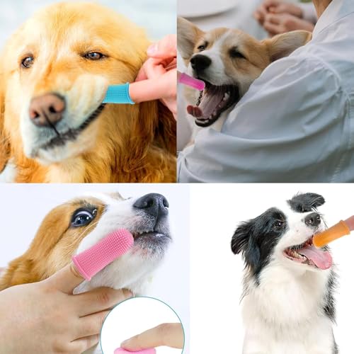 4 Stück Hundezahnbürste, 360º Pets Zähne Reinigung Zahnbürste, Fingerzahnbürste Hund Katze, Zahnbürste Hund, Für Hunde, Welpen, Katzen & Kleine Haustiere Zahnpflege(Blau, Rosa)