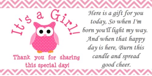 56 Pink Blue Purple Owl Baby Shower Candle Party Favor Labels It's a Girl!