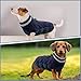 CITÉTOILE Hundemantel für Kleine Hunde - Warme Wasserdichte Hundejacke mit Fleece, Reflektierend Winddichte Winterweste für Dackel, Bulldogge