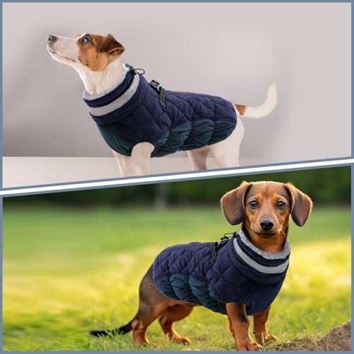 CITÉTOILE Hundemantel für Kleine Hunde - Warme Wasserdichte Hundejacke mit Fleece, Reflektierend Winddichte Winterweste für Dackel, Bulldogge