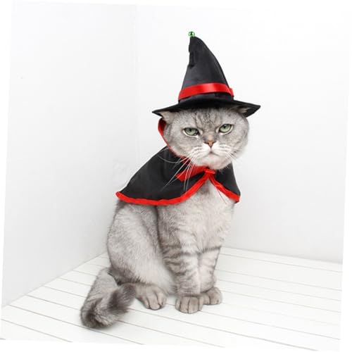 Disfraz Halloween para perros y gatos tamaño M miniatura 4