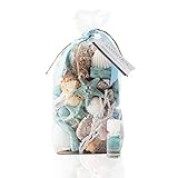 Andaluca Ocean Plumes Scented Potpourri | Made in California | Large 20 oz Bag + Fragrance Vial | Scents of Orange, Lime, Bergamot, Lily, Rose and Tonka Beans | Coastal Home Decor
